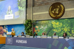 YK:n ympäristöohjelma UNEPin pääjohtaja Inger Andersen