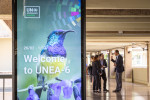 trooppinen lintu UNEAn posterissa kokousaulassa, taustalla kokouksen osallistujia