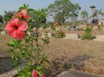 Toisessa maailmansodassa menehtyneiden hautausmaa Etelä-Myanmarissa