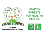 Eri värisistä sydämistä muodostunut metsä ja teksti healthy forests for healthy people