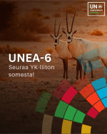 UNEA 6 seuraa YK-liiton somessa