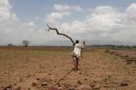 Kuivuutta Etiopiassa